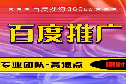 百度推广费用的投入与市场占有率提升的关联案例